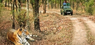 Explore Wilderness in India’s Top National Parks, That are Full of Fun, Adventure and Wilderness